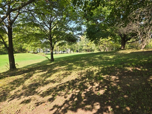 from landing looking towards basket area