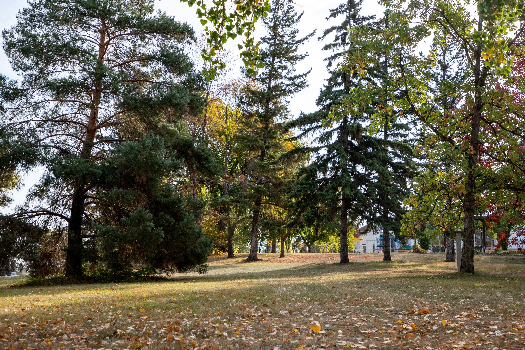 Looking down hole 9's fairway