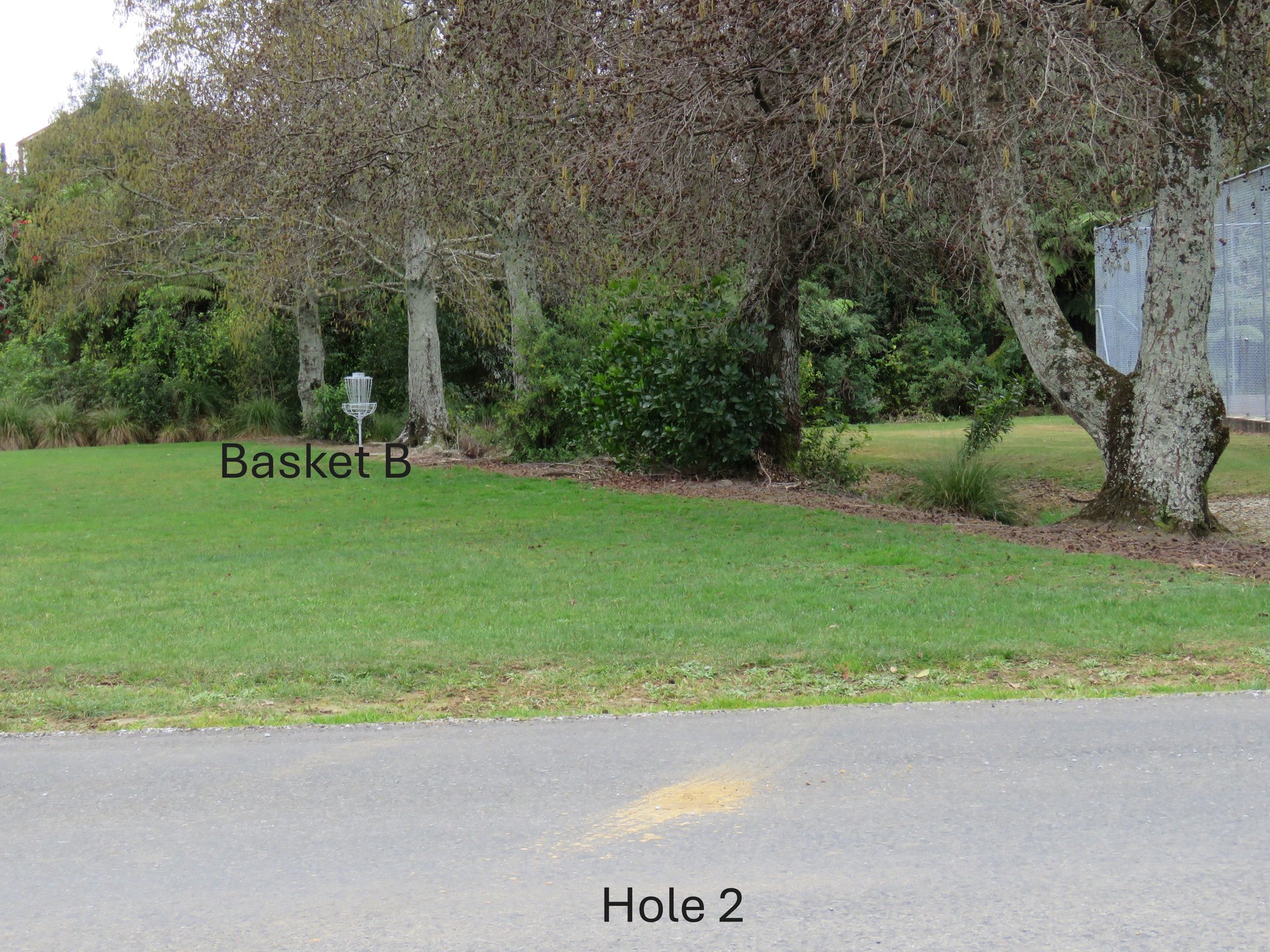 Tee from anywhere on grassy strip other side of the road-watch for traffic when throwing