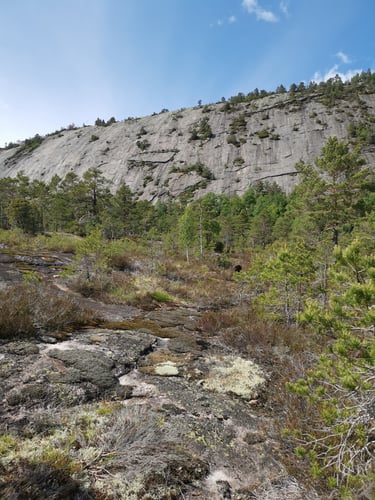 Trågfjell 