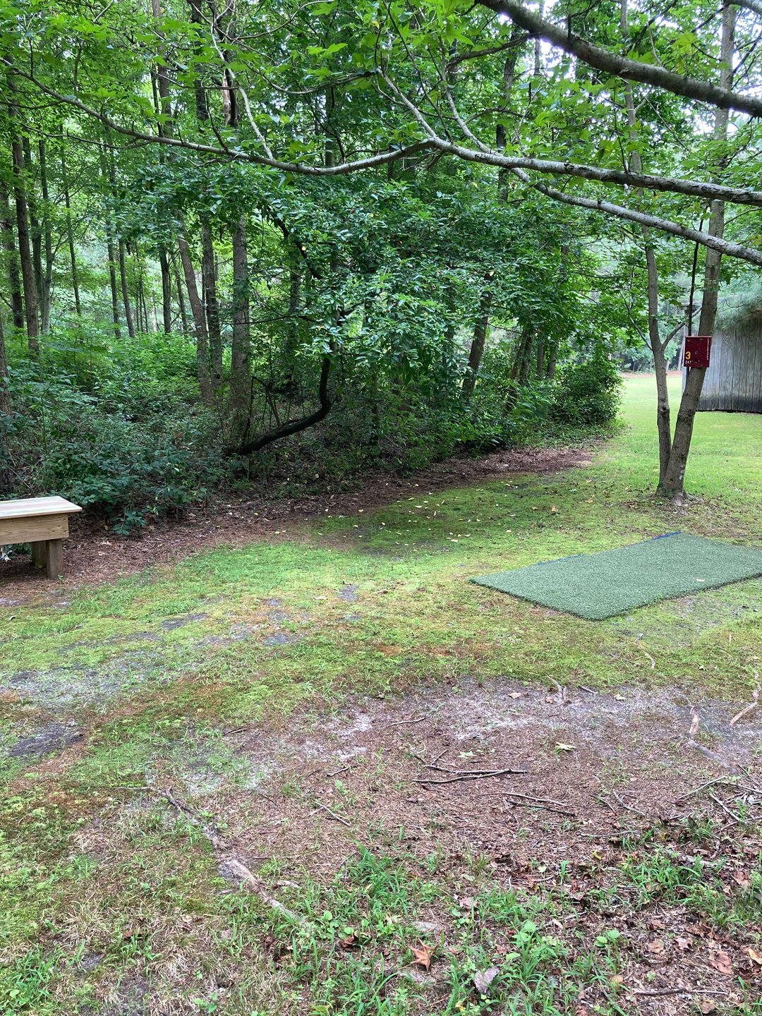 Hole 3 tee pad and bench 