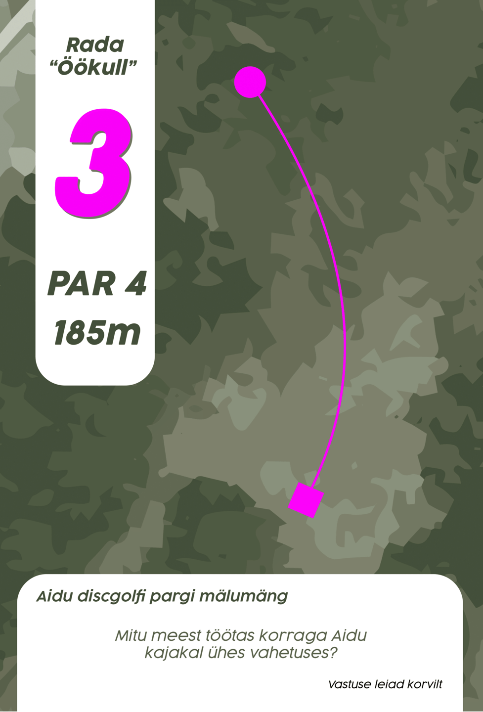 Öökull Hole 3