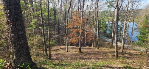 Looking down the ravine of No. 12 Fairway.