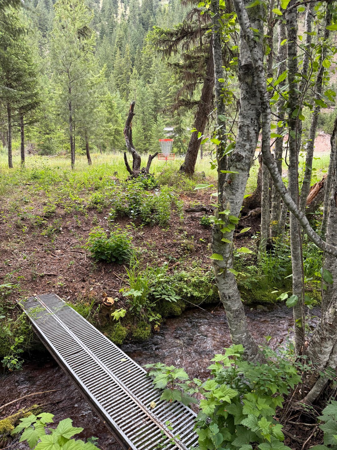 Gilman Creek 