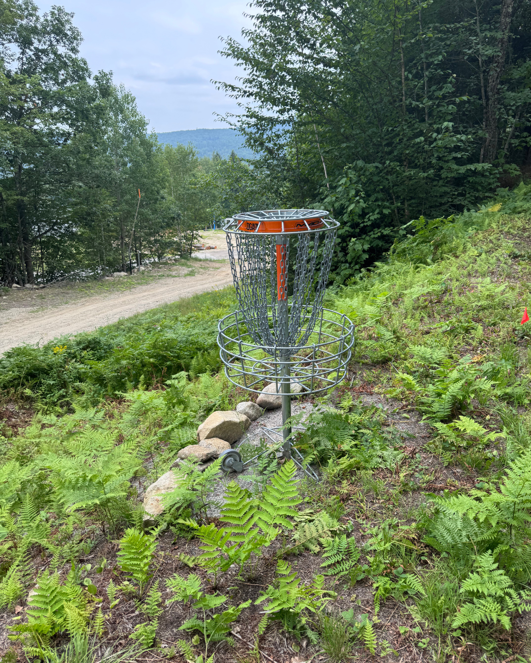 Hole 2 basket