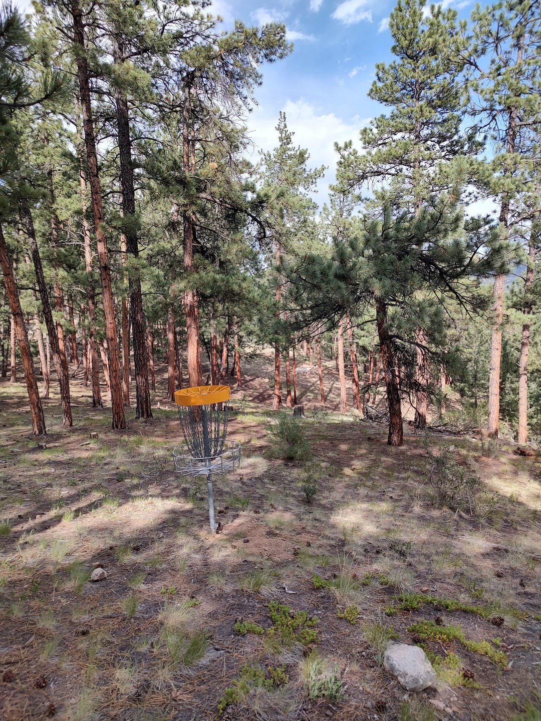Hole 15 Littlefoot