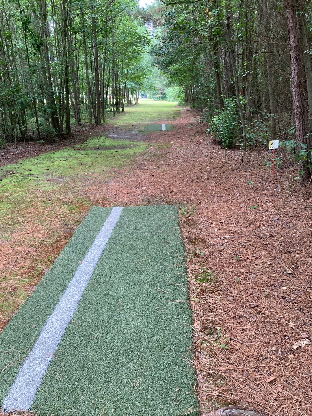 Hole 2 tee pads, basket is slightly left in the group of trees “the jail”

Tee 2 and 2x in photo 