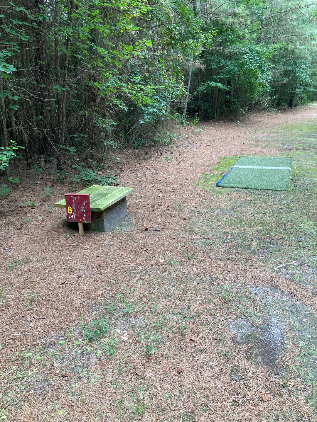 Hole 8 tee pad