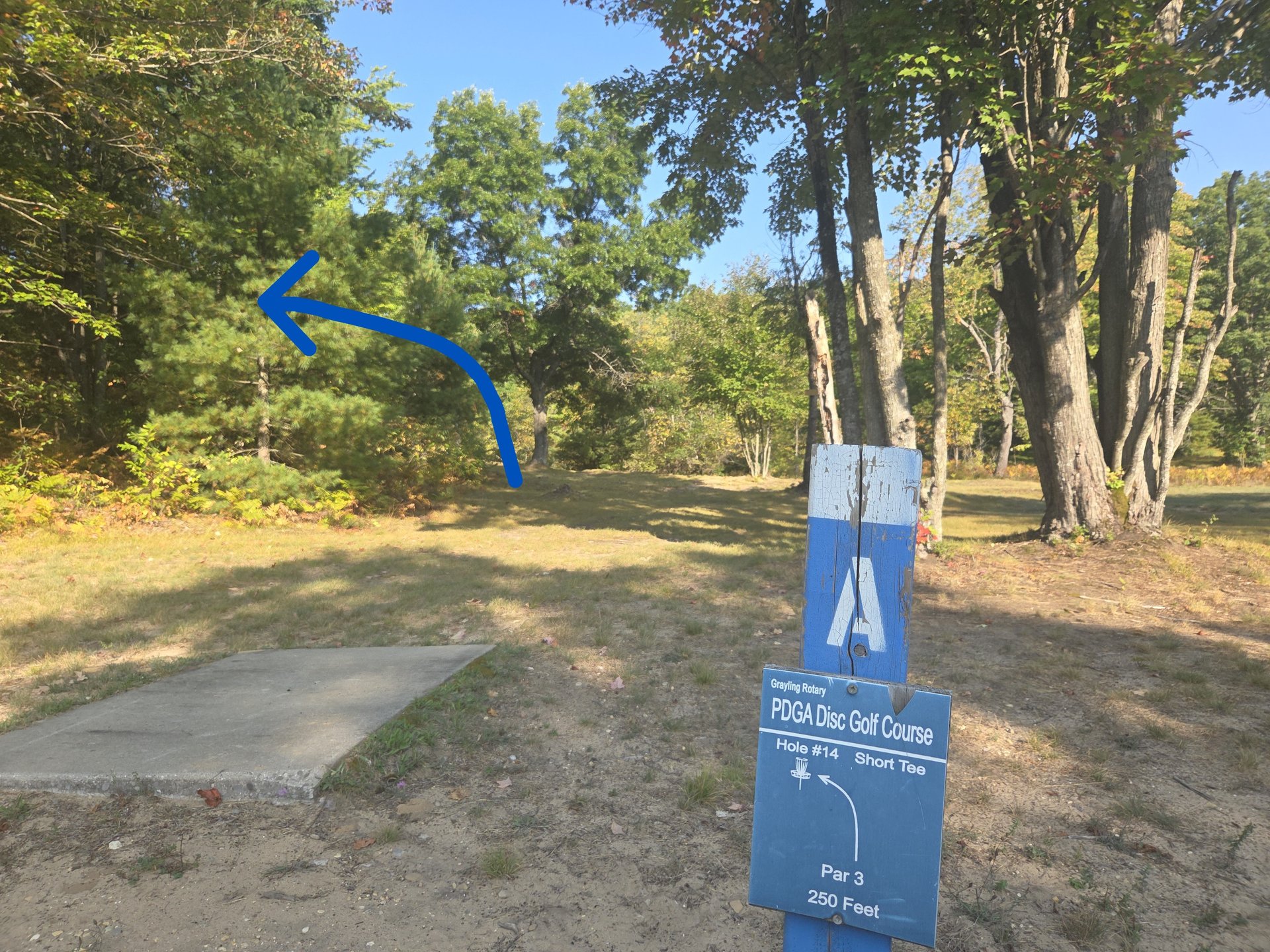 #14  short A tee to basket thru the gap and uphill left