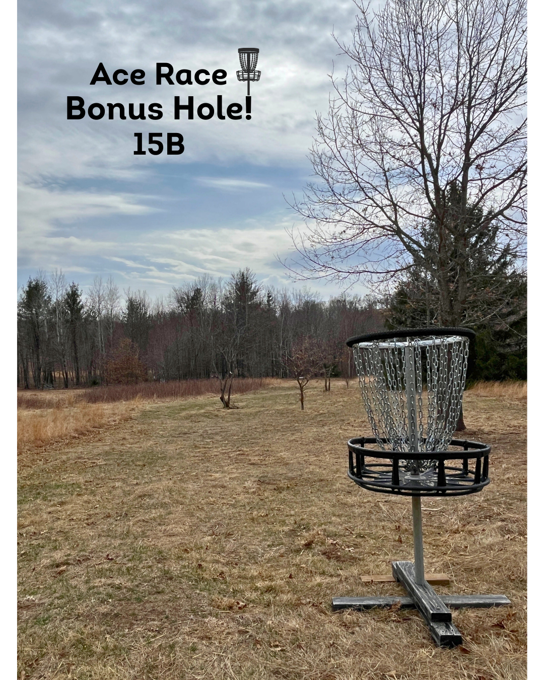 Bonus Ace Hole! 15B