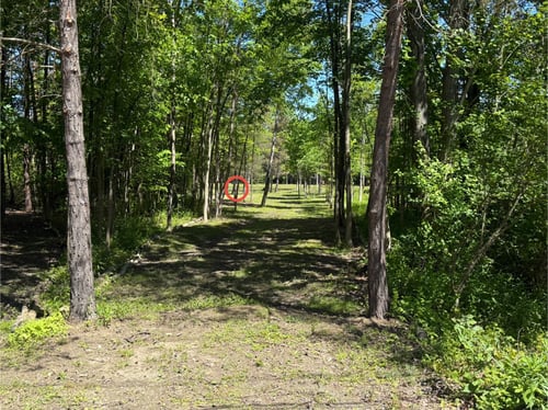 Hole 2 Tee to Basket
