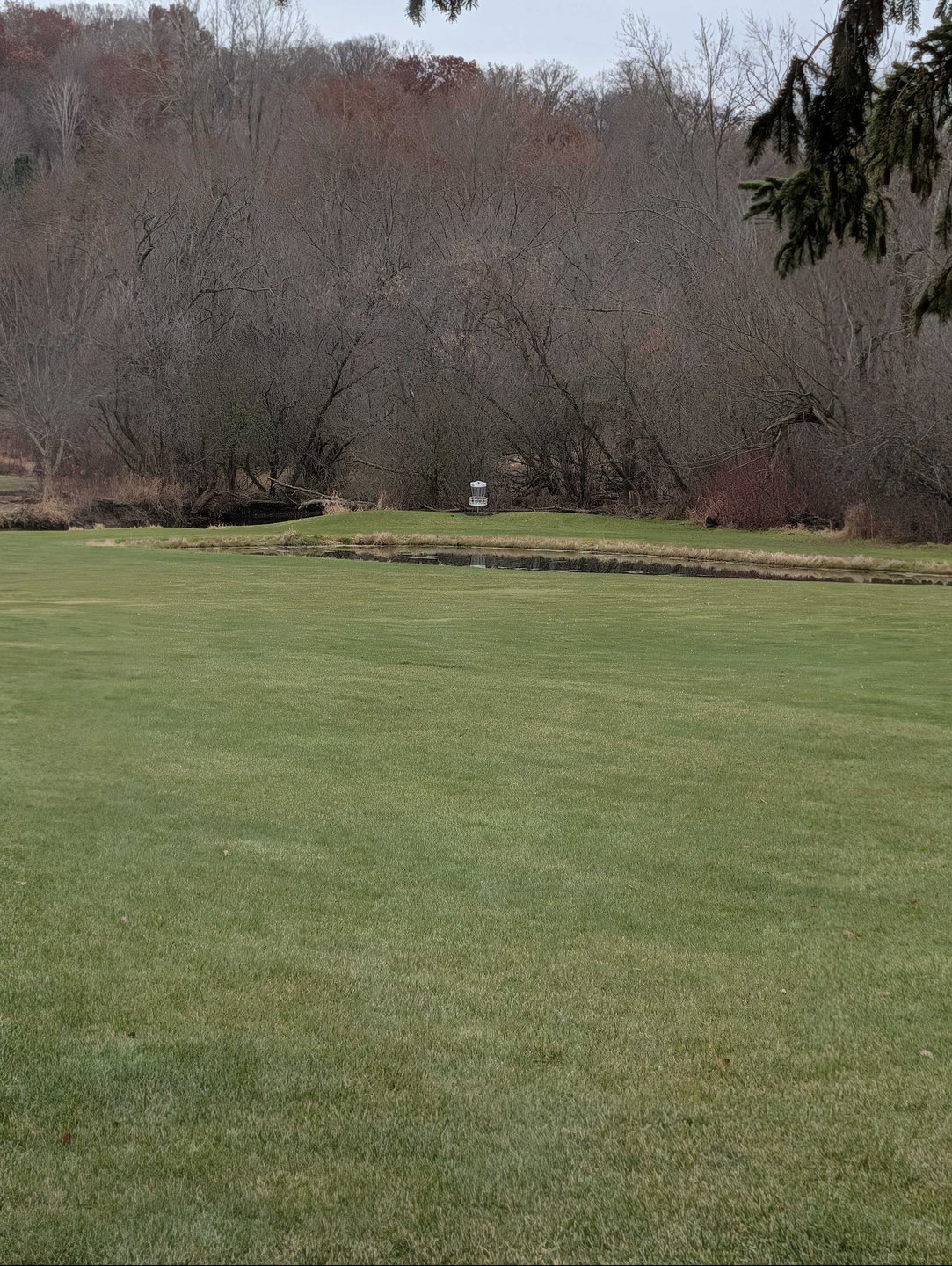 basket location zoomed in from long/short tee