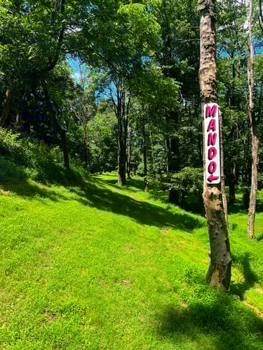 Hole 4's mando. 
