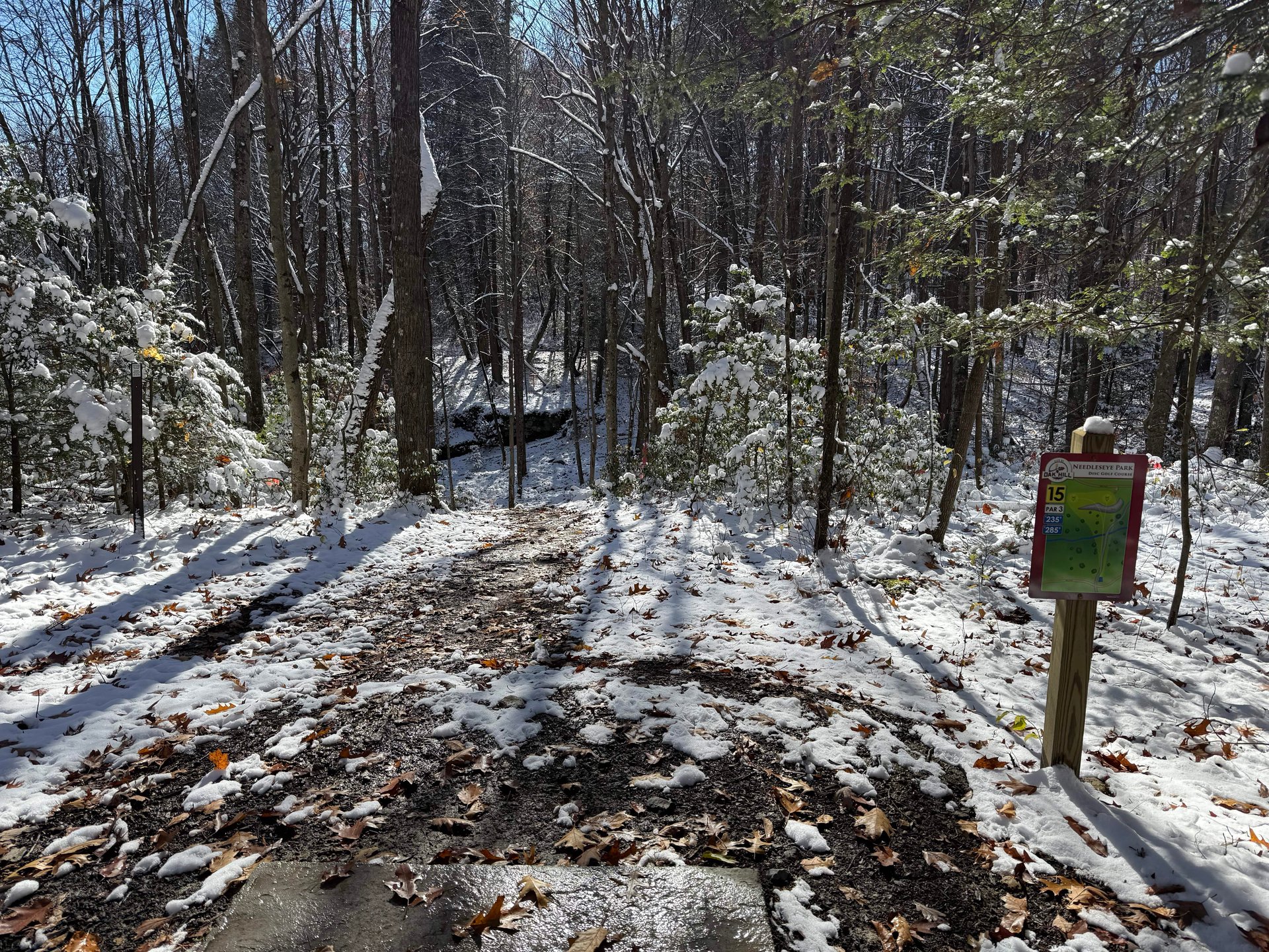 View from the short teepad