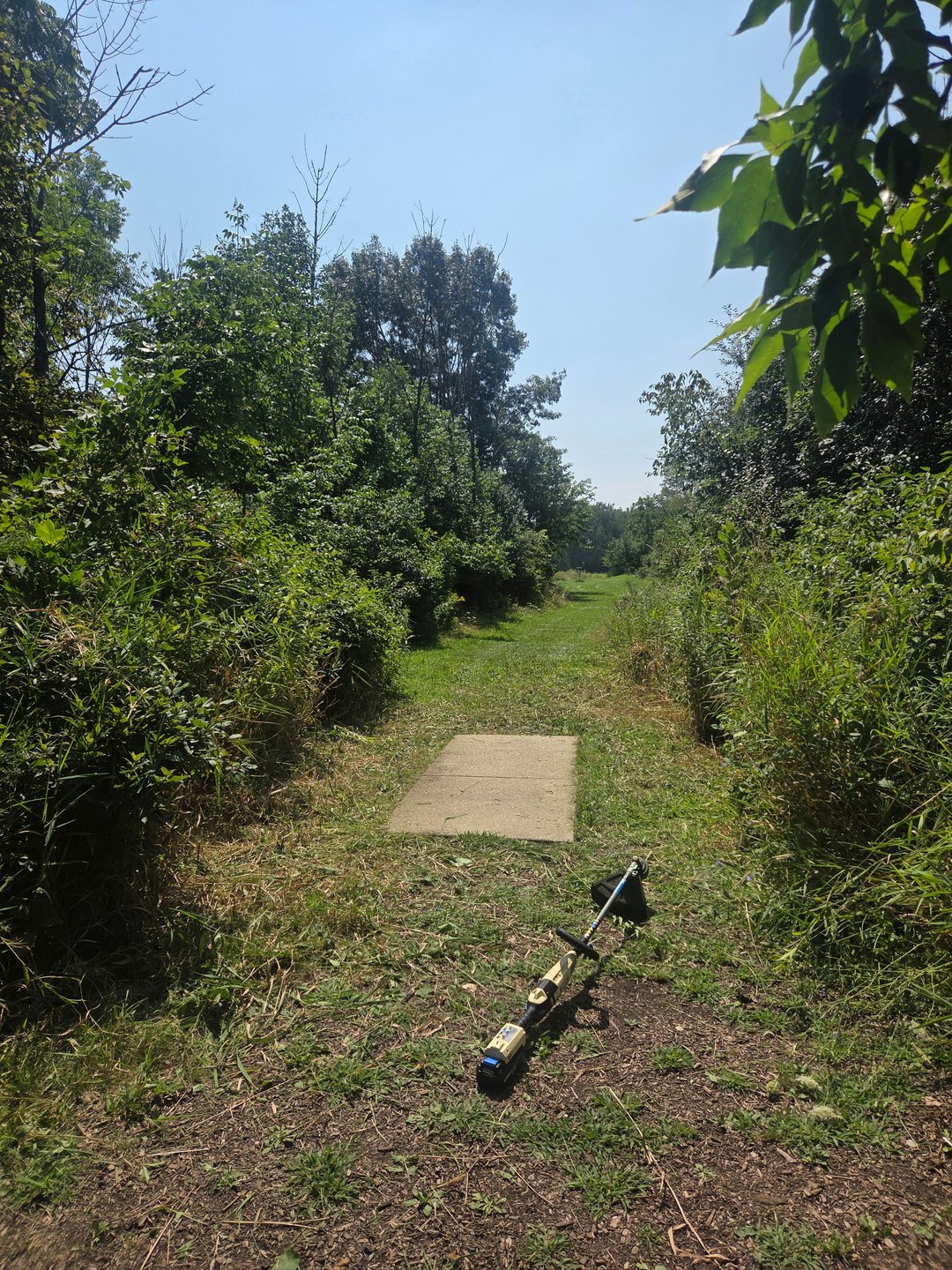 Hole 5 short tee cleaned up