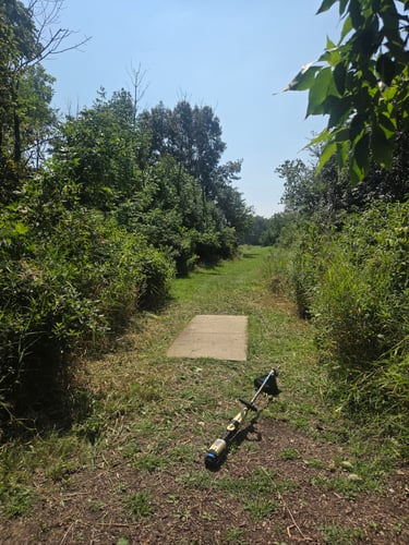 Hole 5 short tee cleaned up