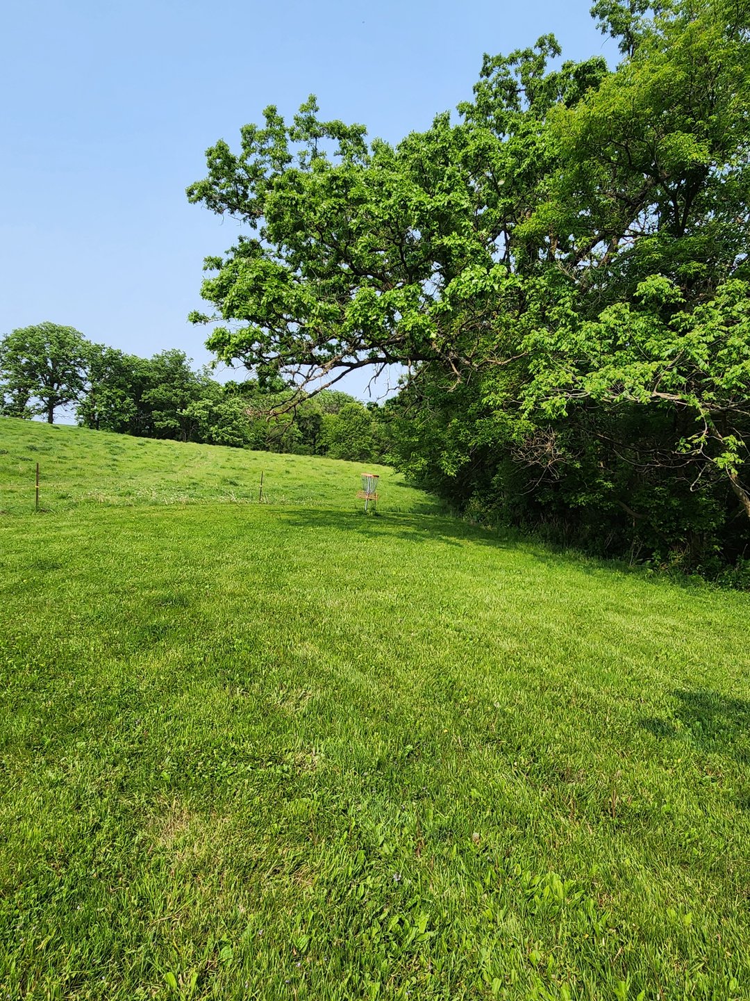 Hole 5 green