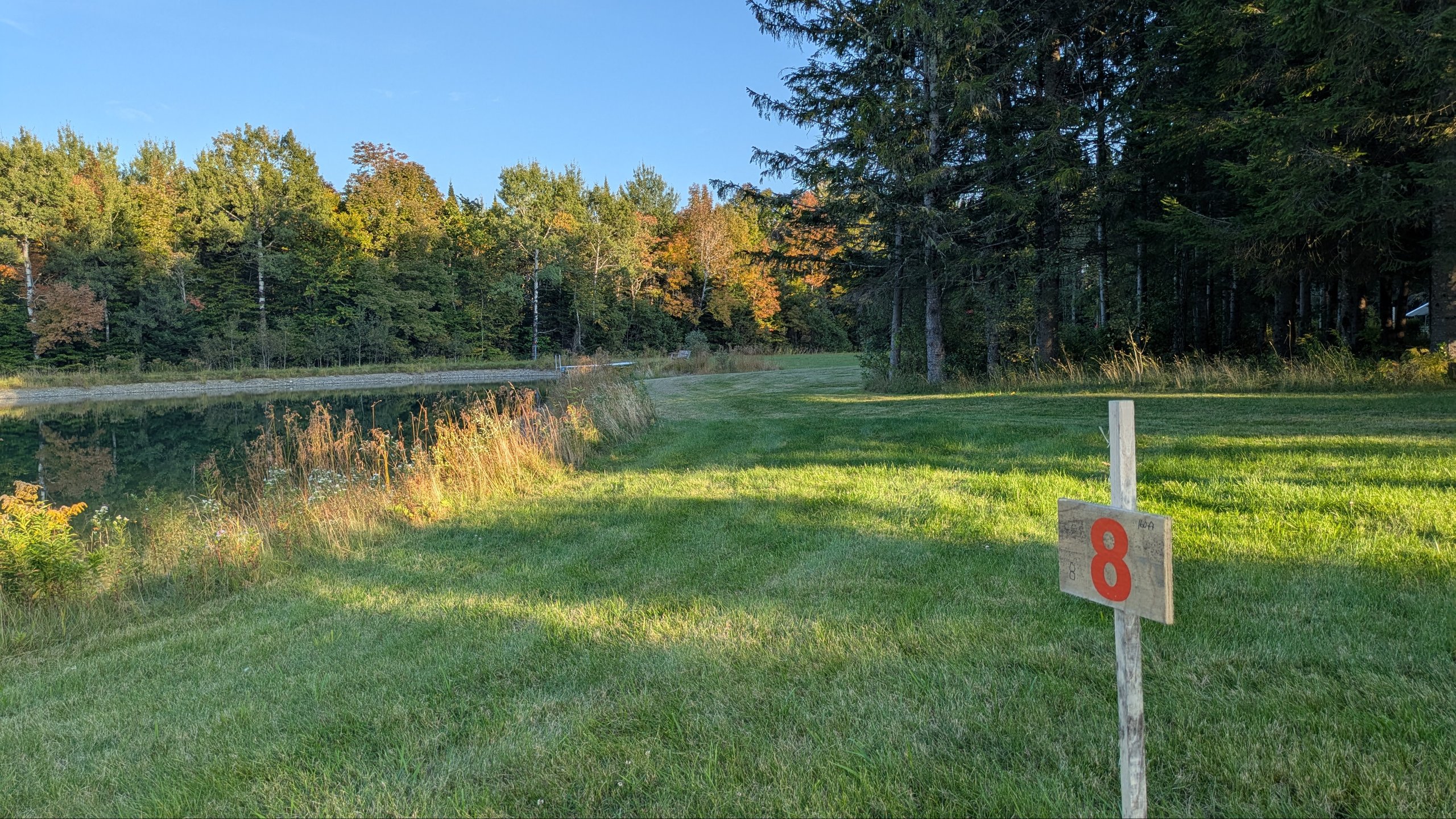 Hole 8 tee looking toward the target which is around the tree corner