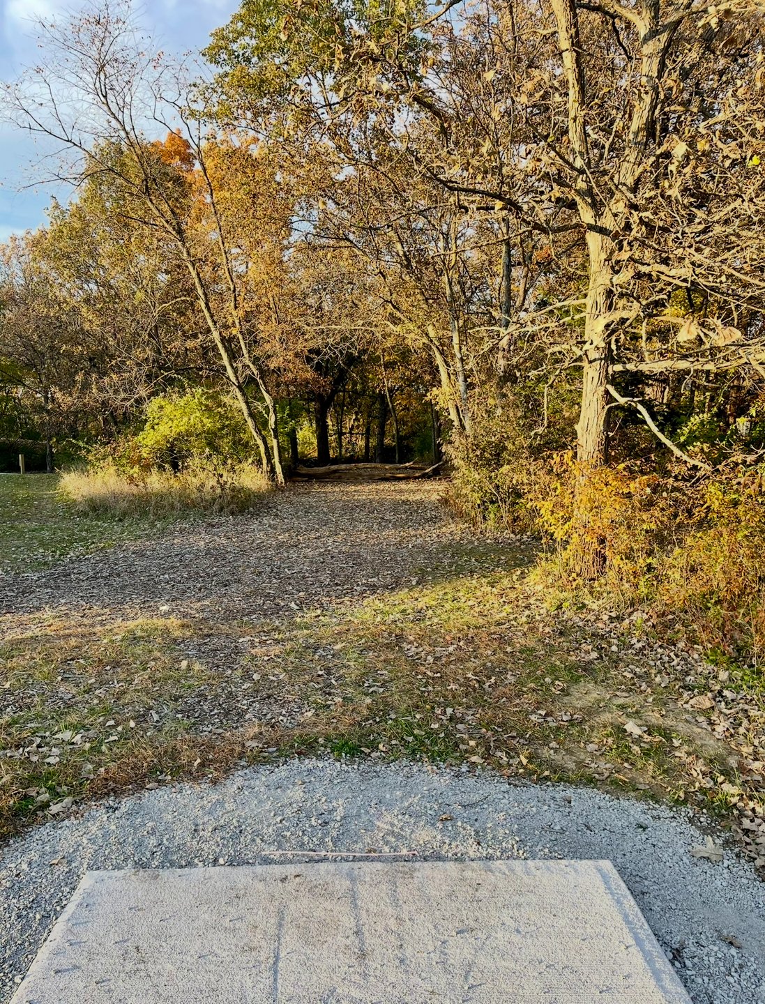 Hole 3 - “The Gallows” Pro/Am Tee. Hole requires touch as OB long. Adjustable height hanging basket. Ace run available. 