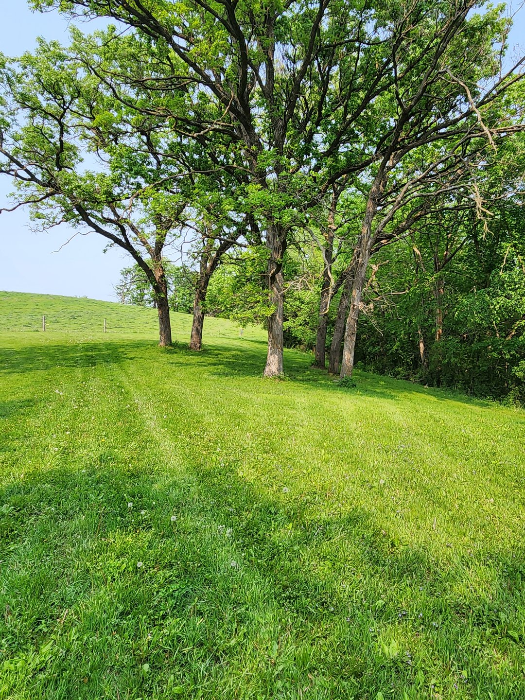 Hole 5 fairway.