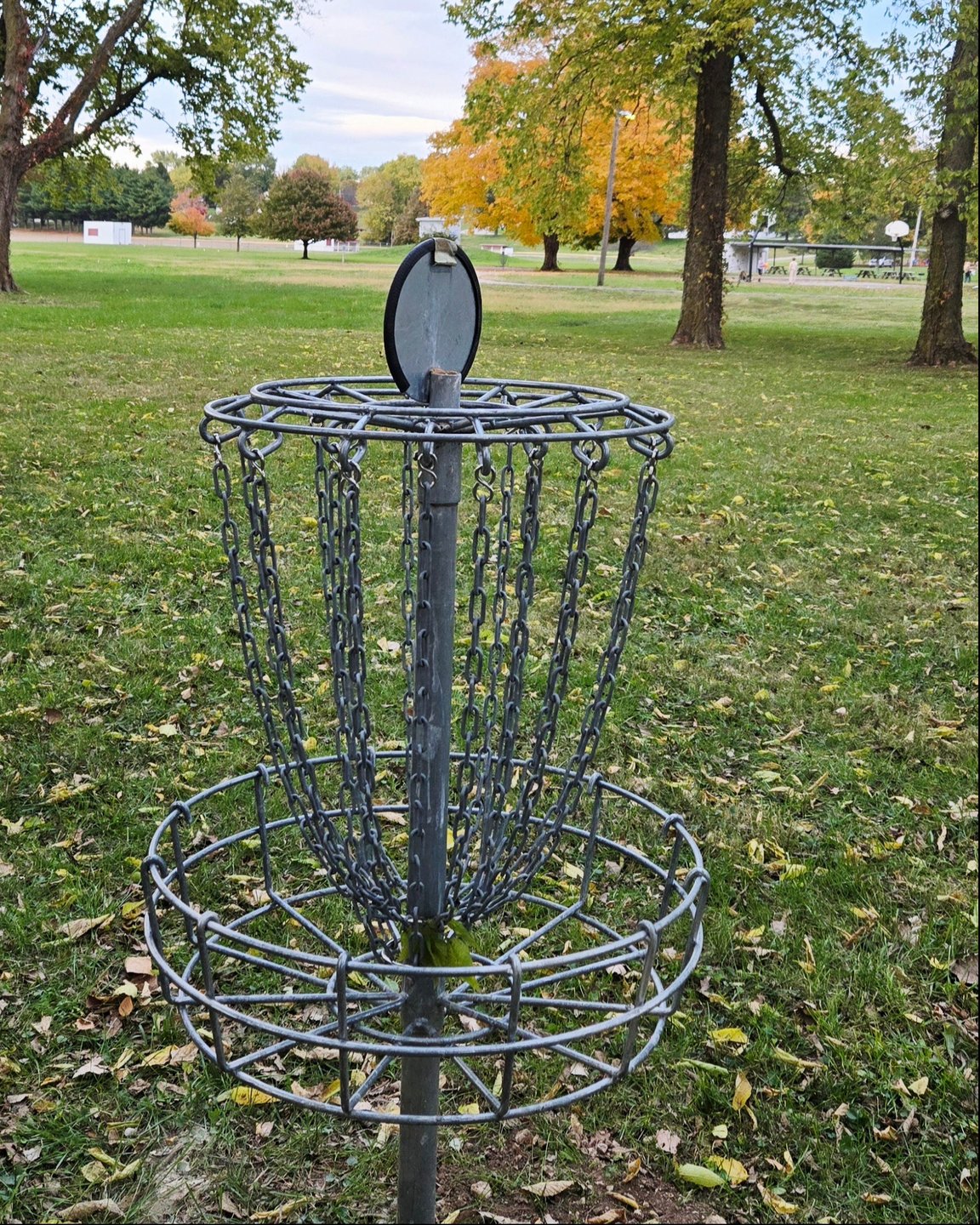 Hole 3 basket looking back to the tee
