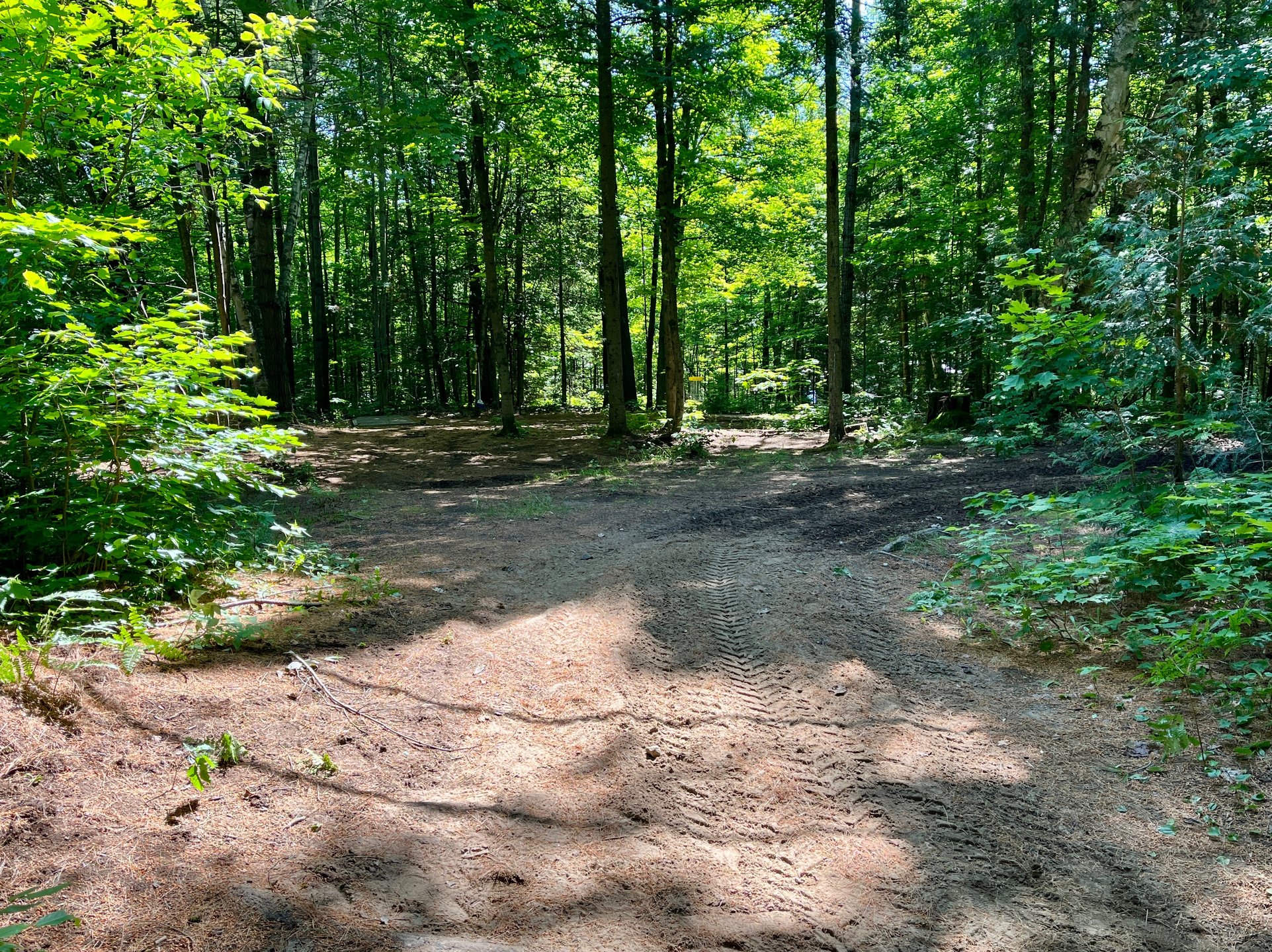 Hole 4 mid fairway 
