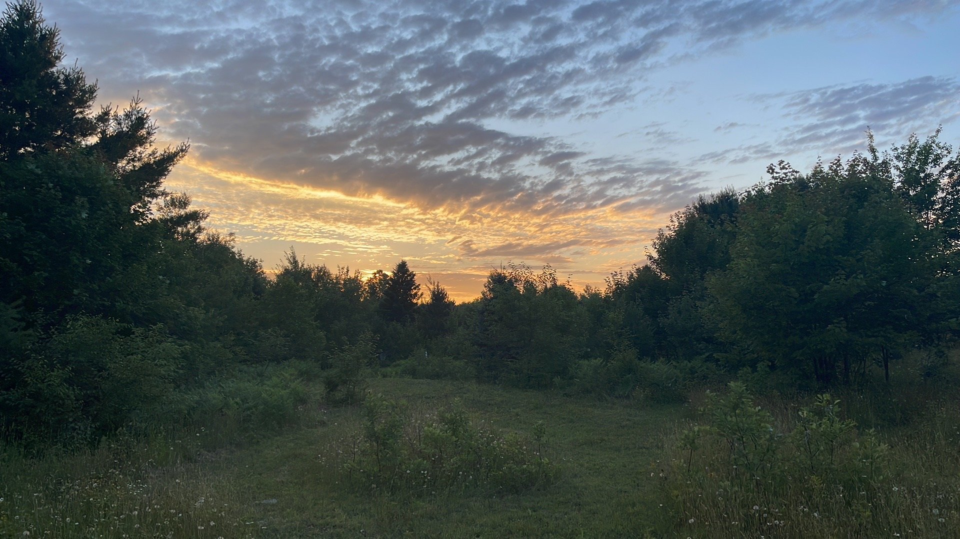 Sunset view over hole 16