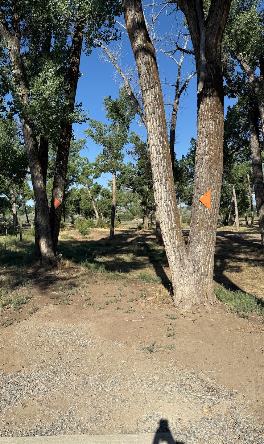 The mandos off the tee pad of hole 17.