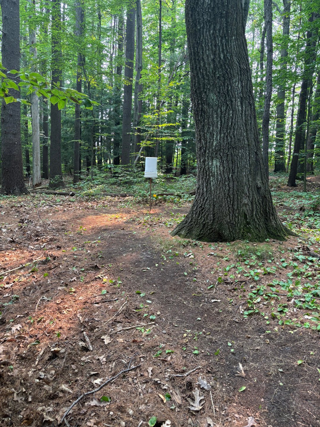 Hole 2/11 bucket 