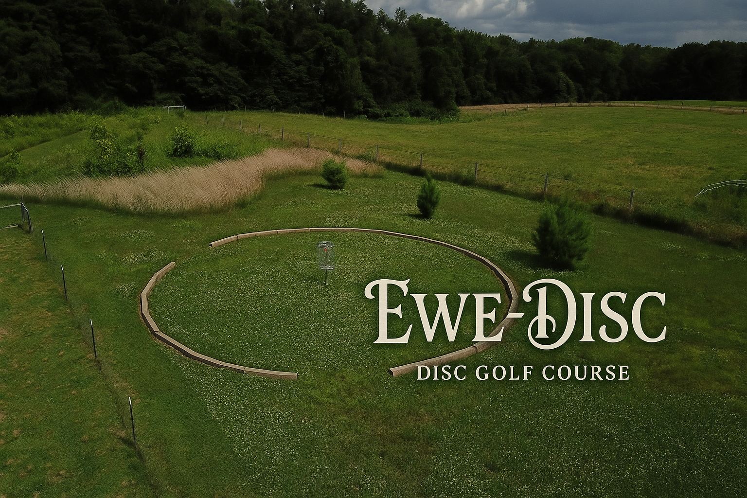Ewe-Disc