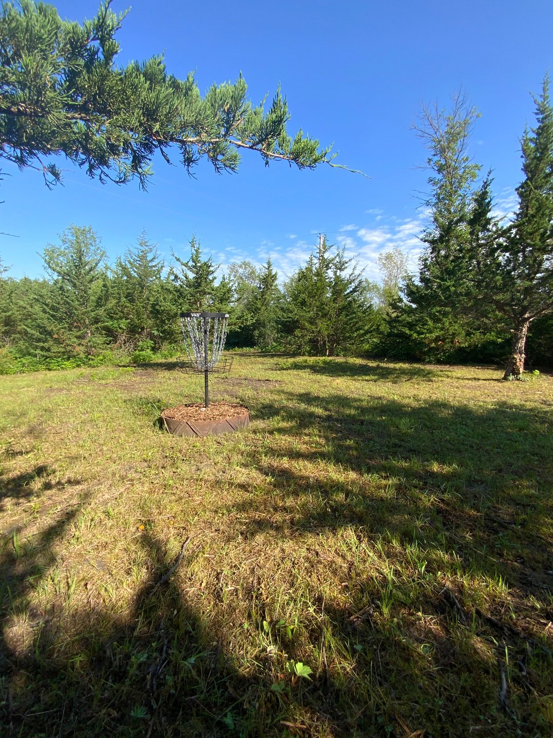 Dogleg right hole 8