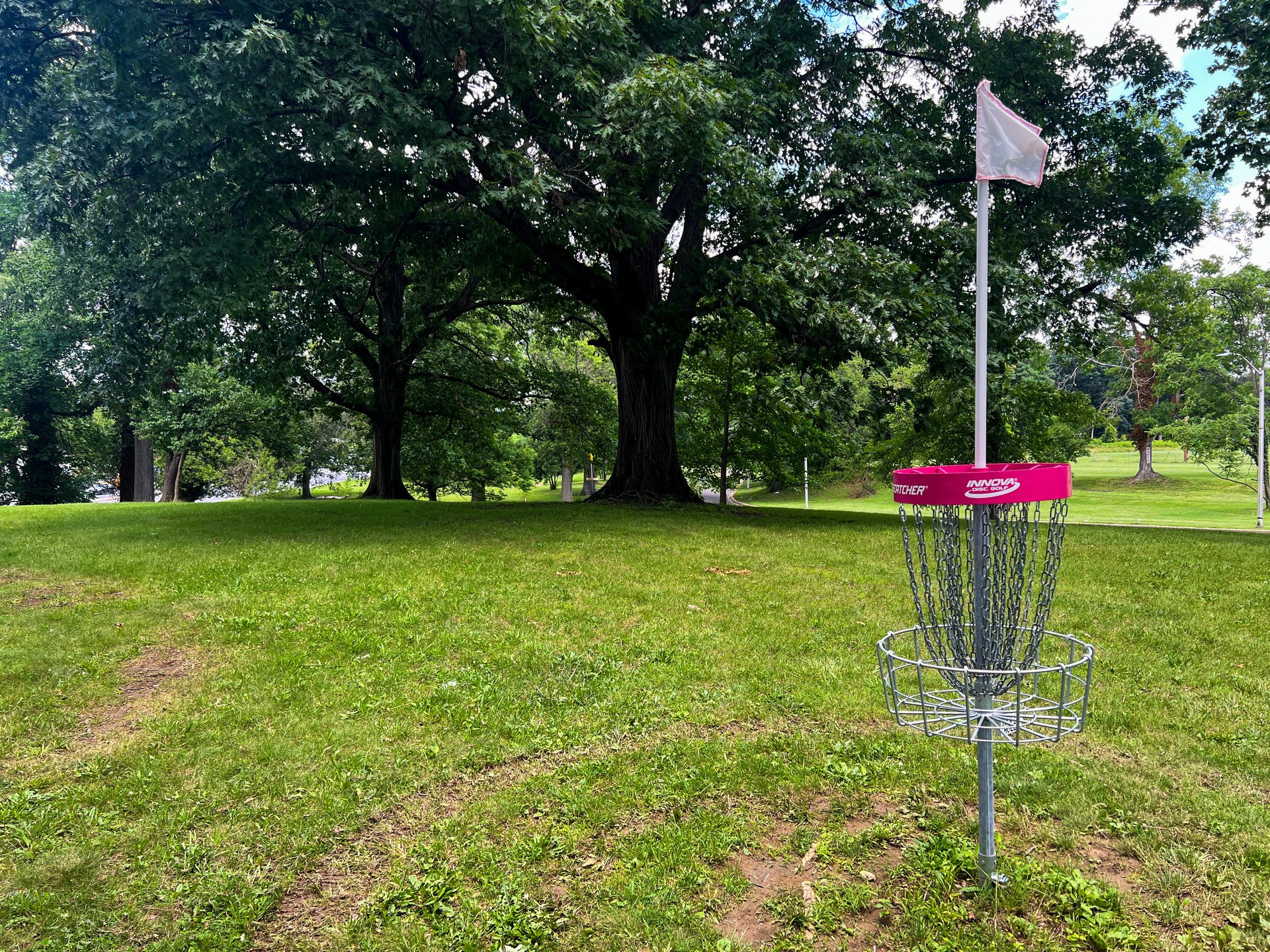 Hole 8's Pink Basket. Par 4, 470 ft. Hole 8's basket is past and to the left of Pink basket and slightly down the hill. Yellow is Par 4 and 601 ft. 
