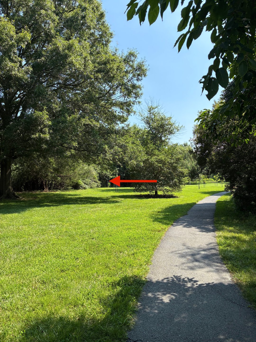 Mando to left of bush