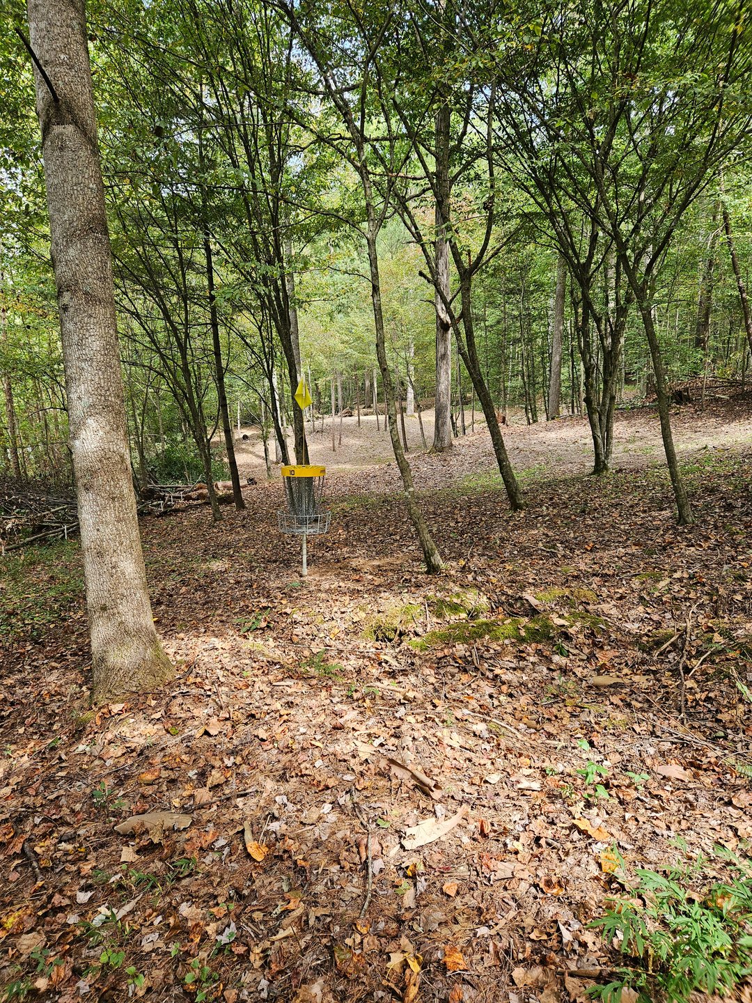 Hole 10 Short Basket. Looking back up the fairway.