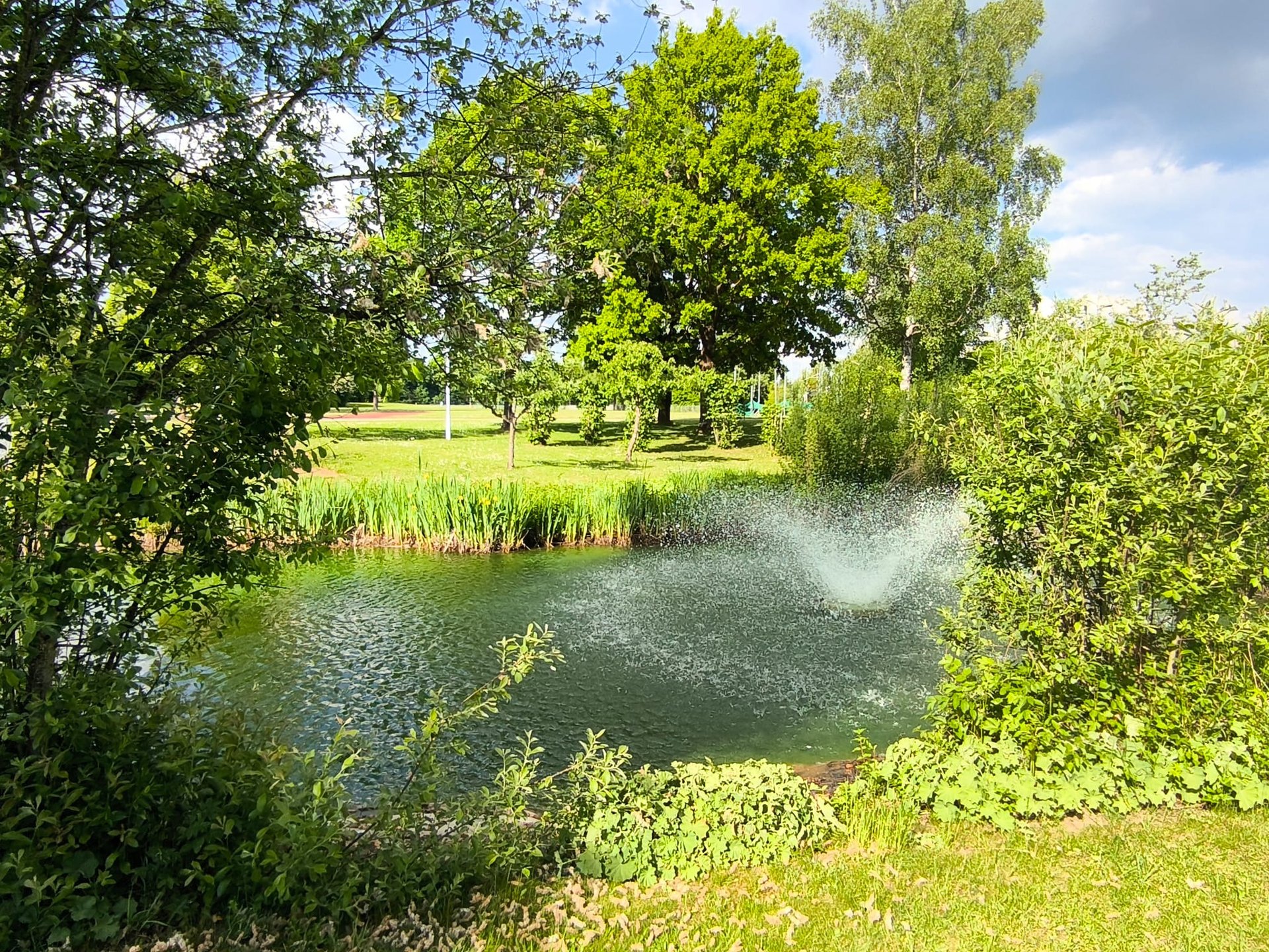 Course photo