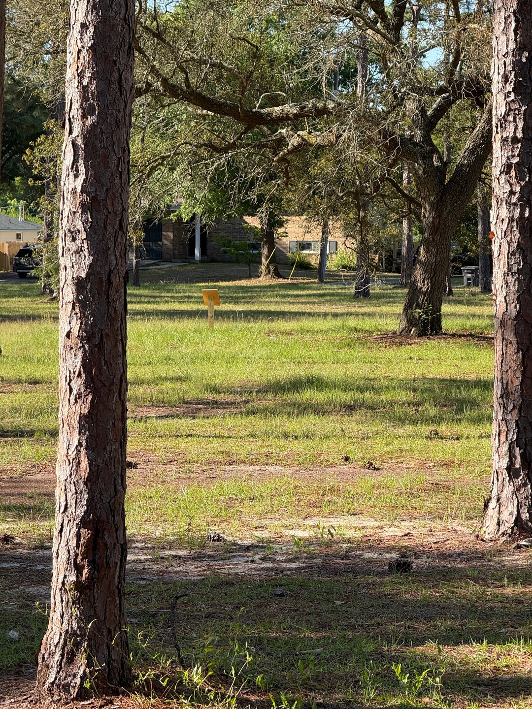 Fairway of hole 7 looking back toward tee area.