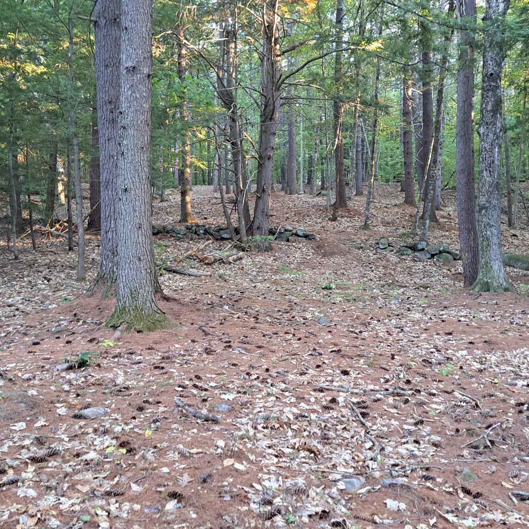 Good first shot. Looking up the hill to the pin.