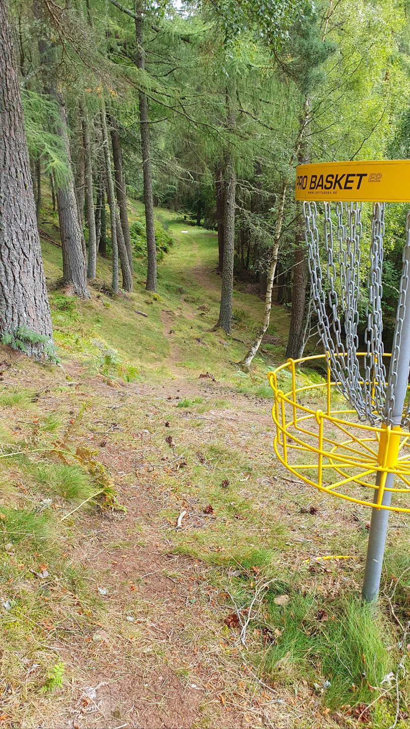 Hole #12 - Ace Outback