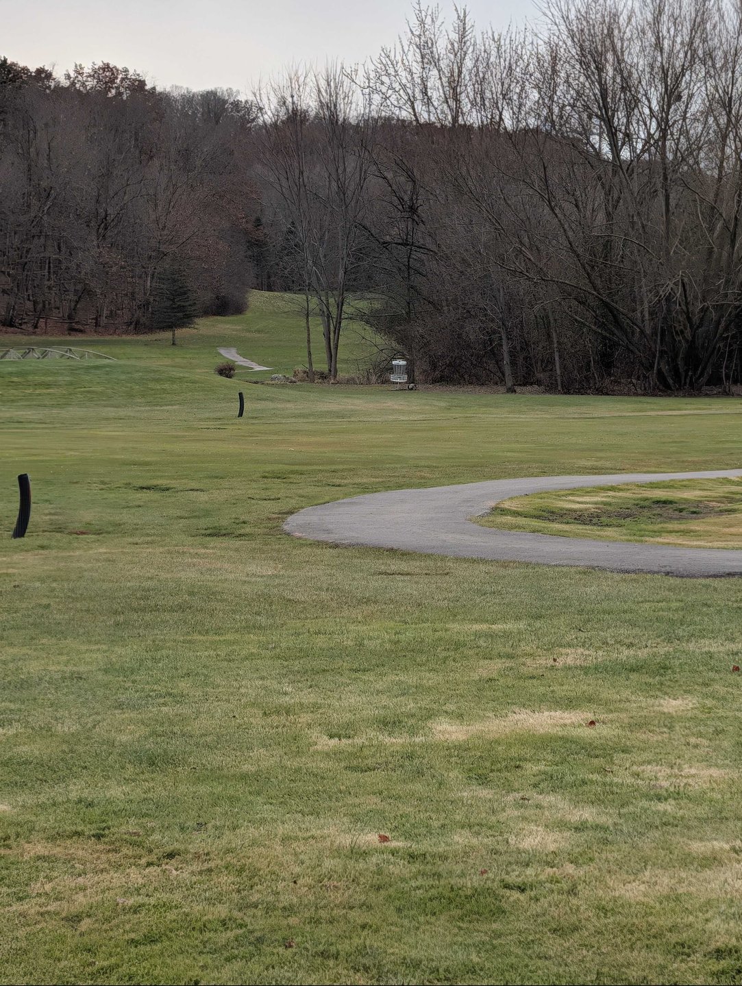 basket location zoomed in from long/short tee