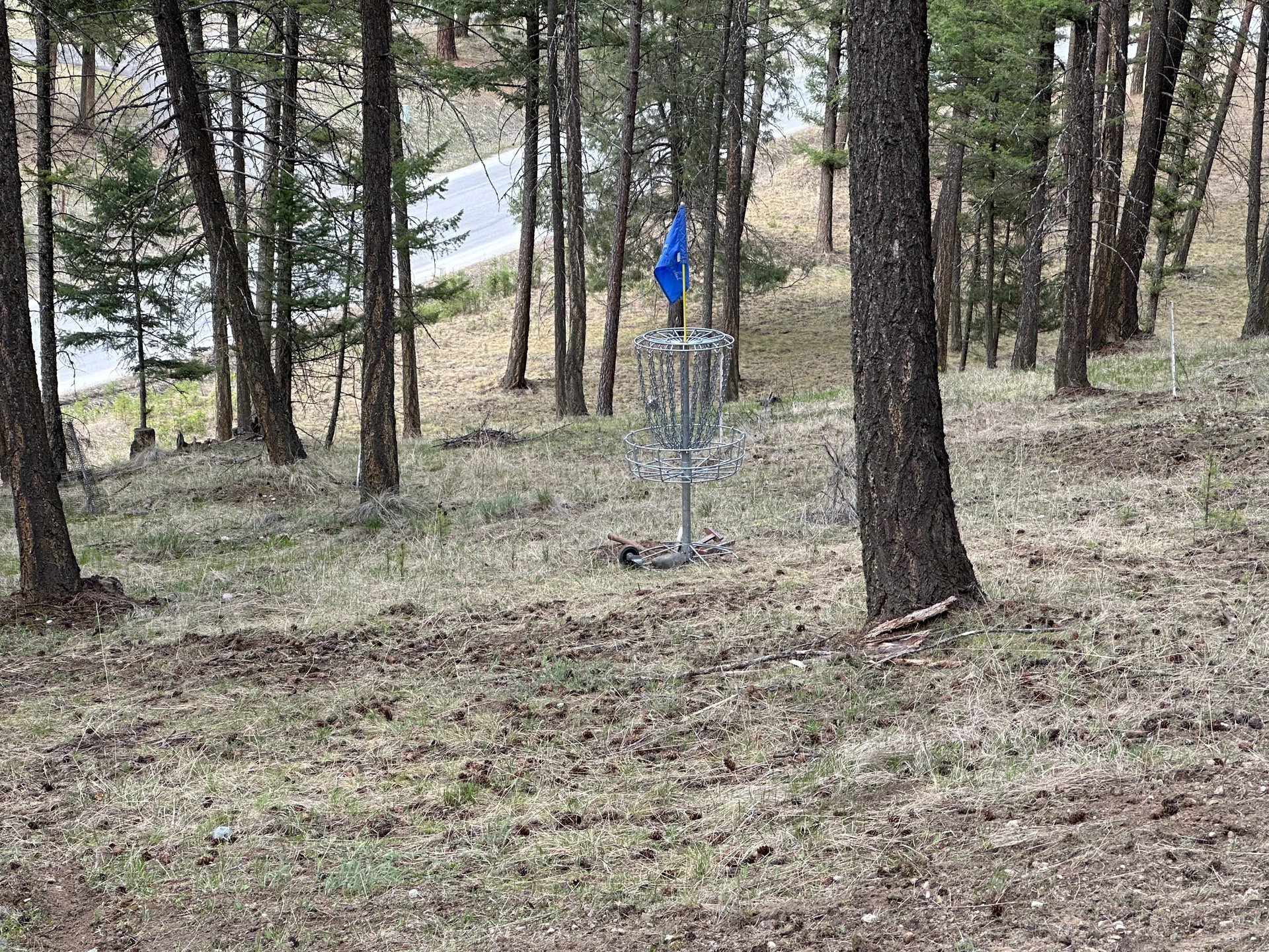 14 Blue - moved back and to the right 