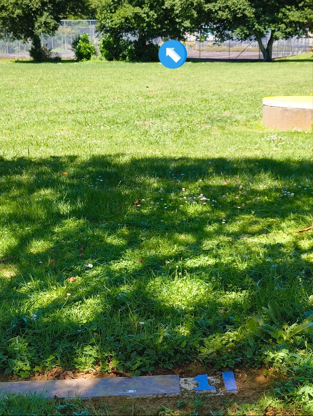 T1 close by yellow water well