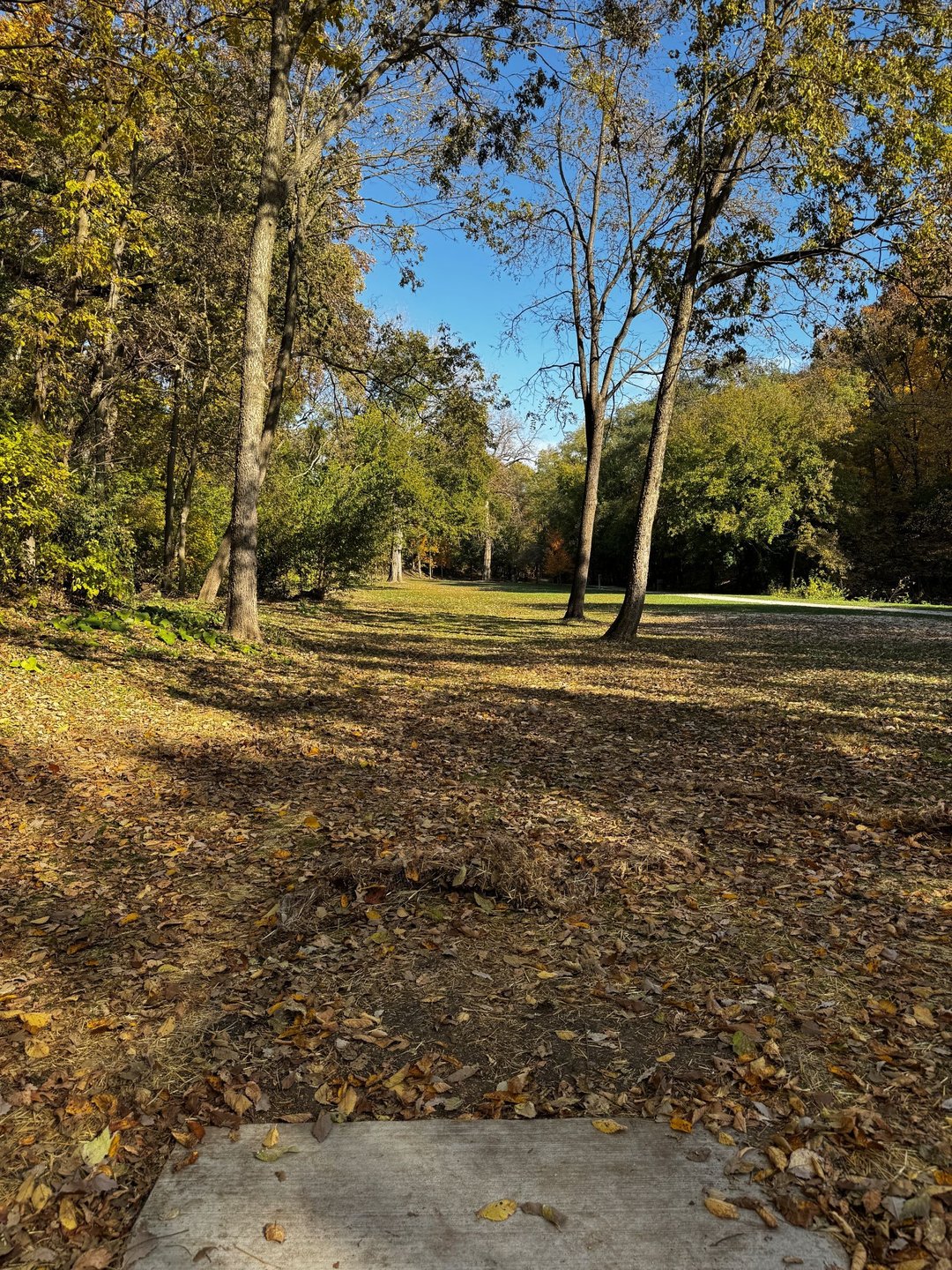 Hole 17 - White Tee
New white tee installed October 2025