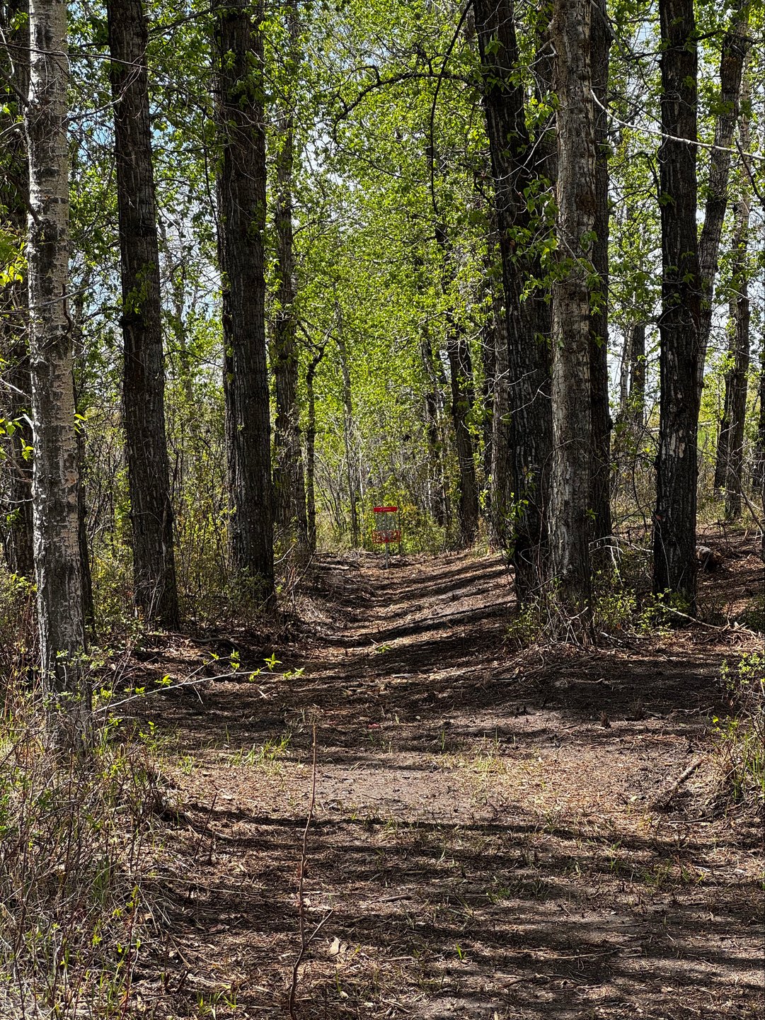 Hole 16 tunnel. 
