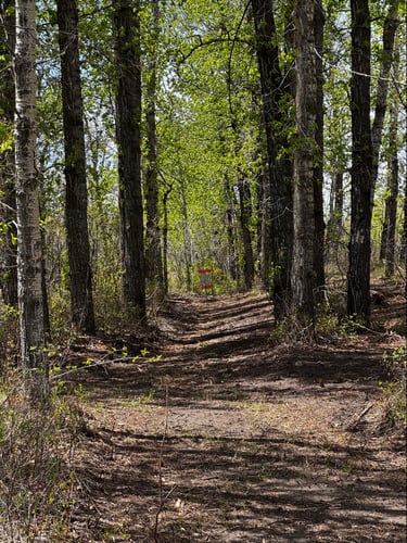 Hole 16 tunnel. 