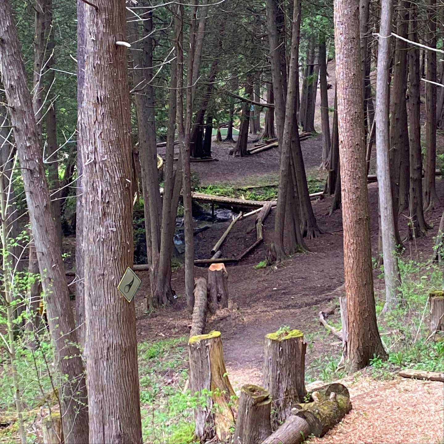 New wider line from the long tee on Plinko.
