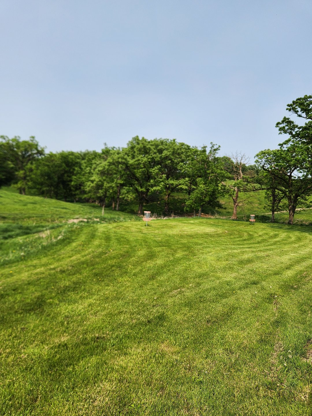 Hole 2 green. (Hole two basket is on the left)