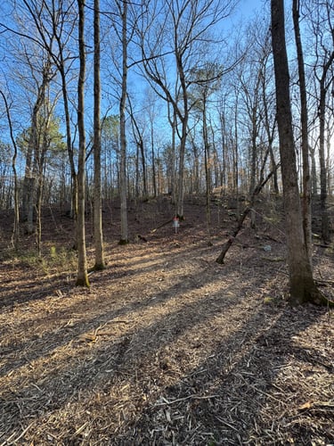 Hole 5 basket on the hill.