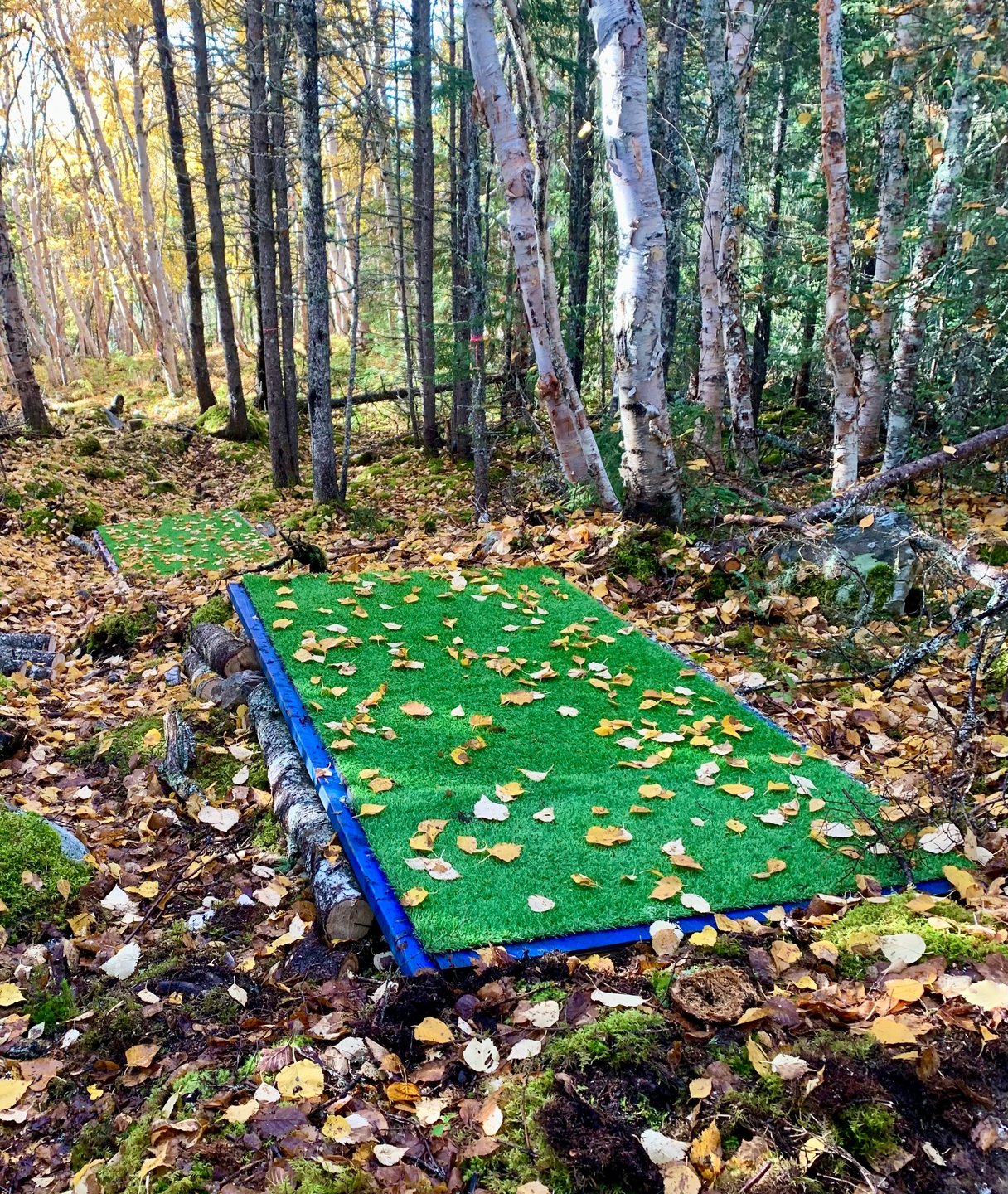 Blue and Red tees for Hole 6. 