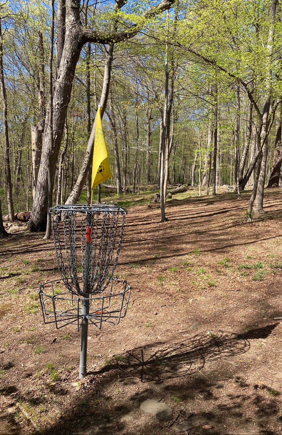 View from Hole 10 basket back up fairway