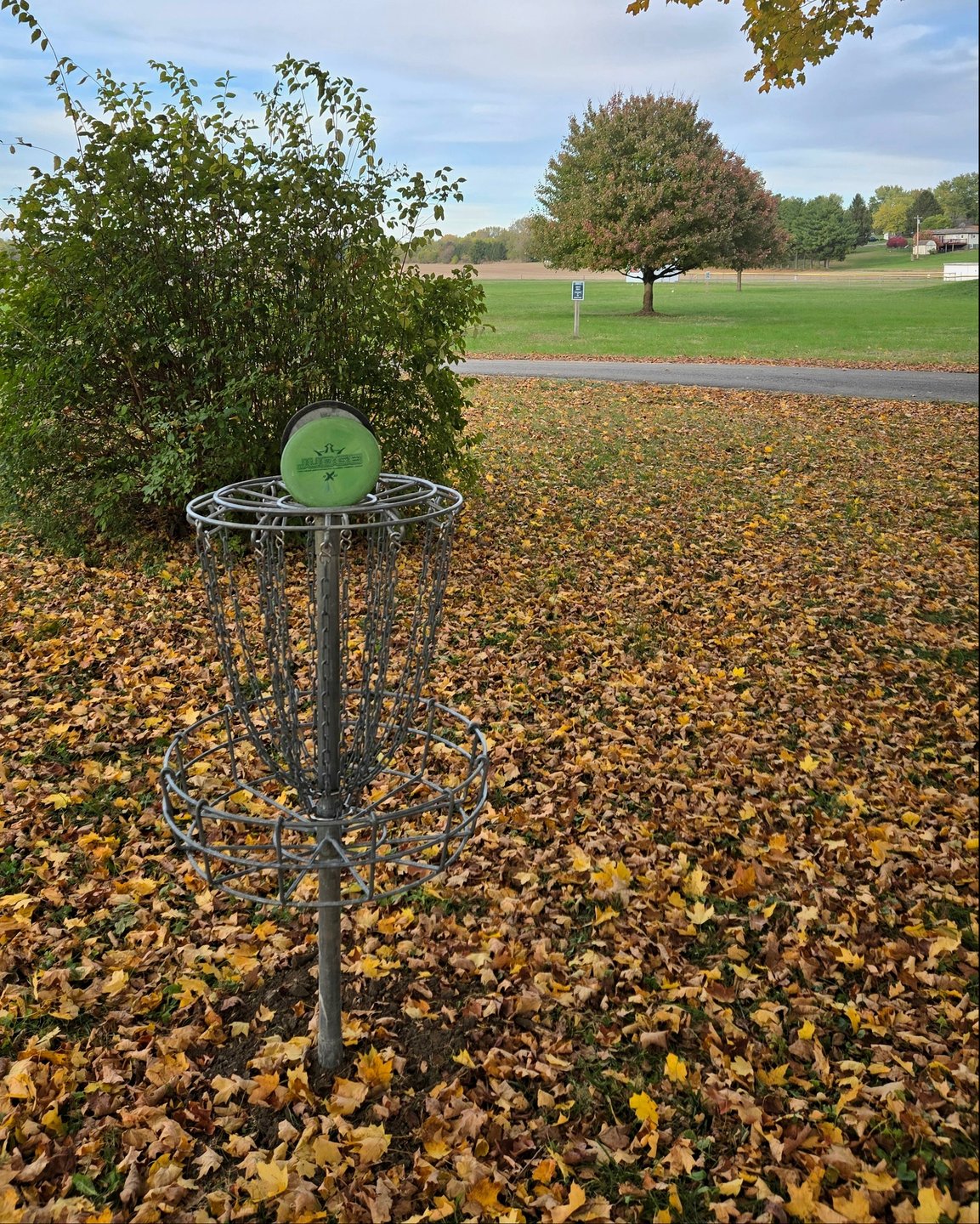 Hole 2 basket looking towards the tees